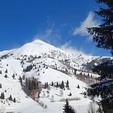 Pinetrees Lodge Плав Экстерьер фото
