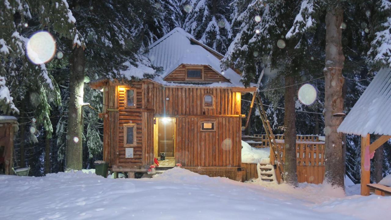 Pinetrees Lodge Плав Экстерьер фото
