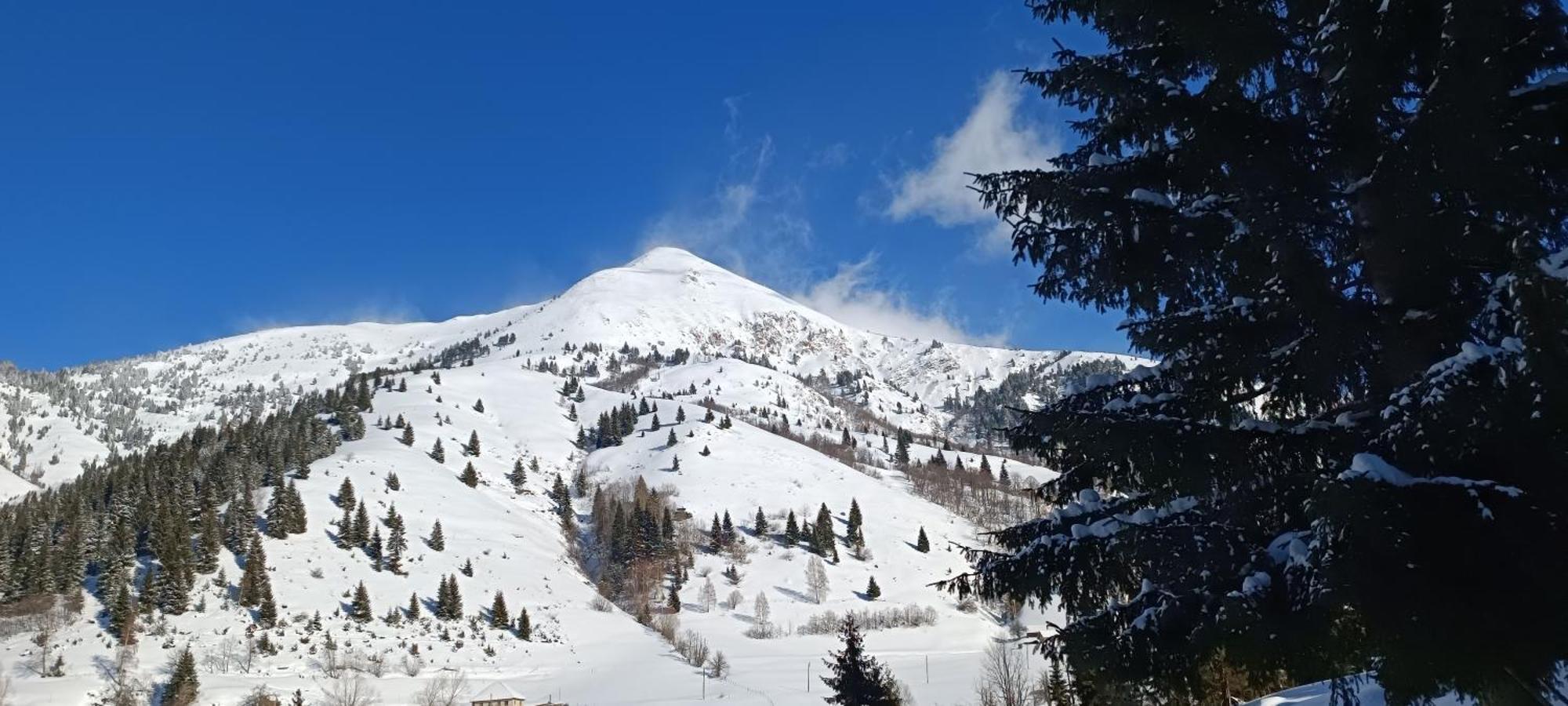 Pinetrees Lodge Плав Экстерьер фото