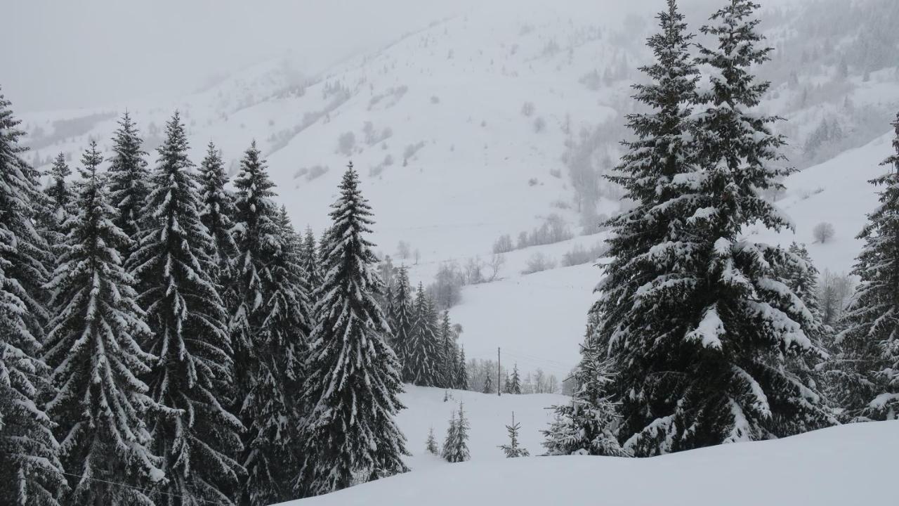 Pinetrees Lodge Плав Экстерьер фото